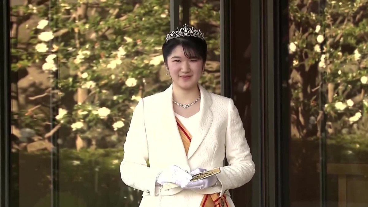 Alert Princess