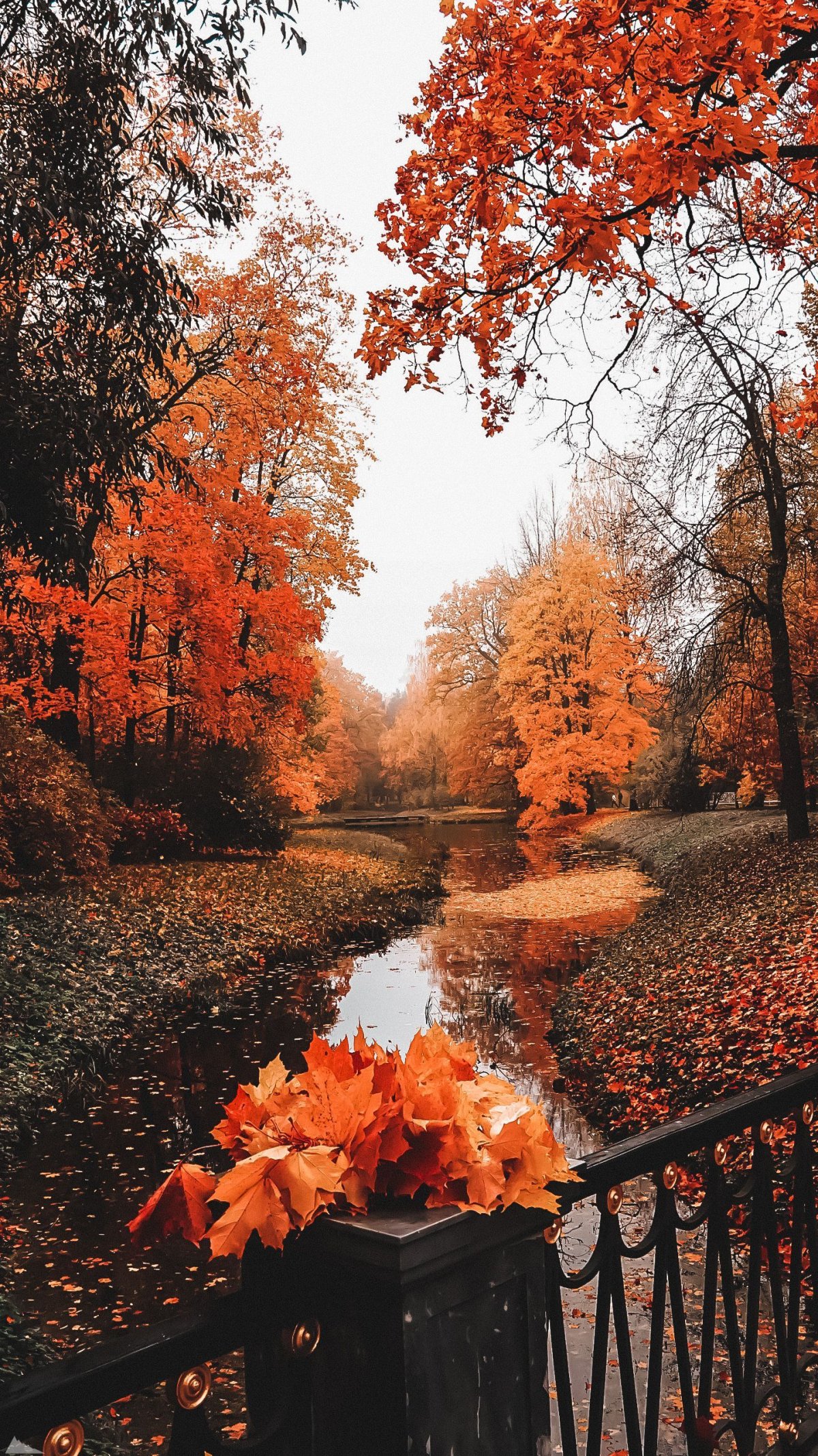 Осенние фотографии
