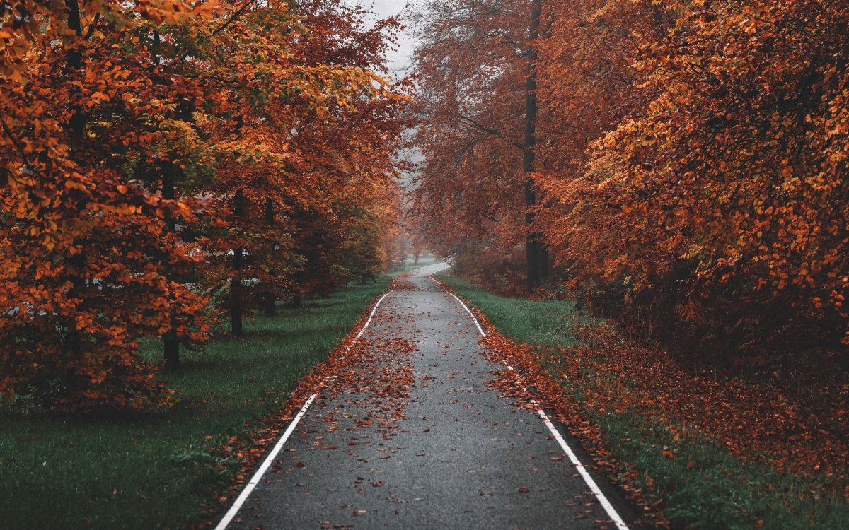 Осень Эстетика