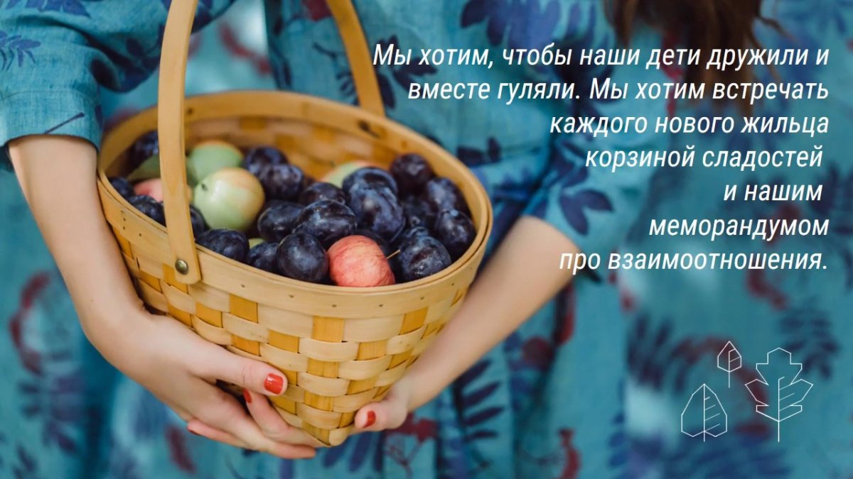 Корзина с фруктами слива