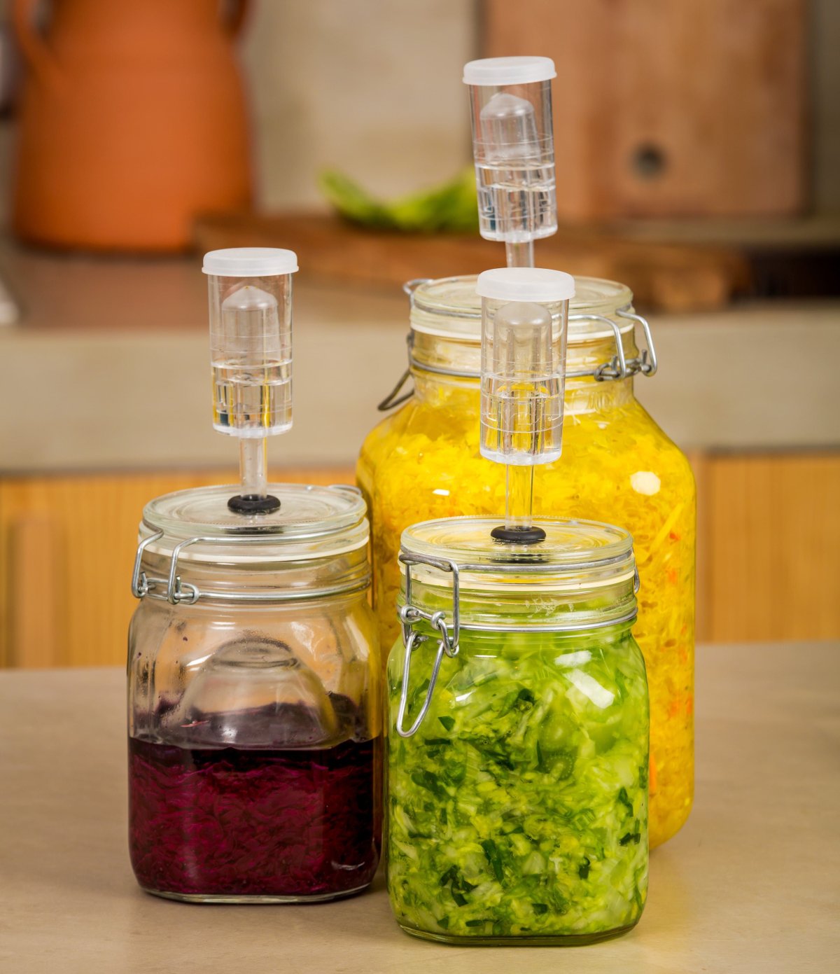 Fermented food products