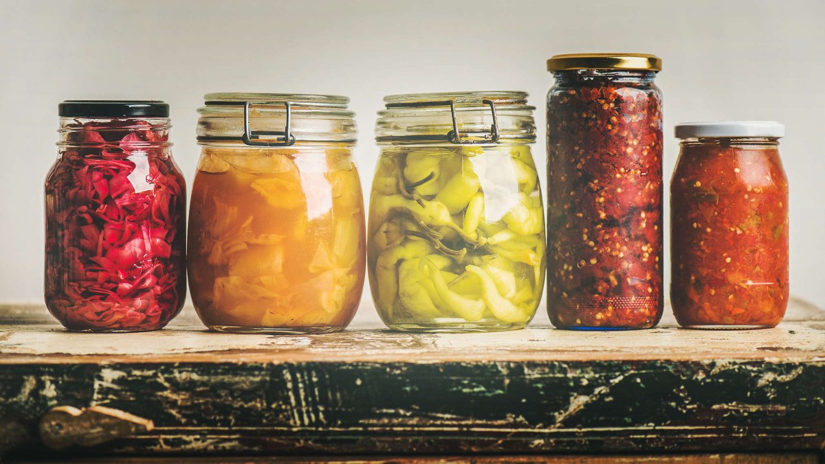 Fermented Borth