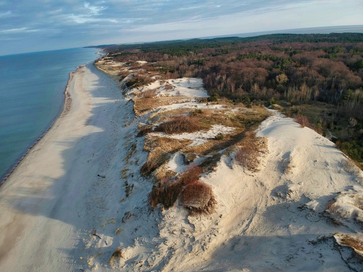 Зеленоградск Куршская коса