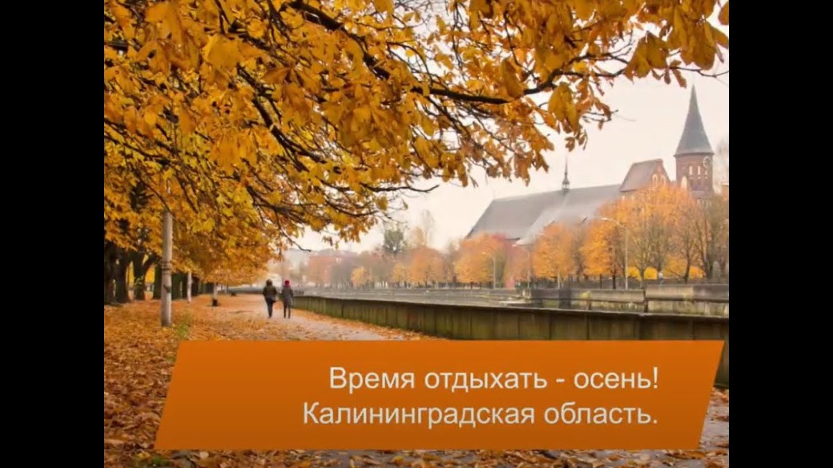Остров Канта Калининград осень