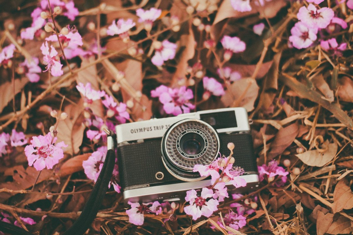 Фотоаппарат Эстетика