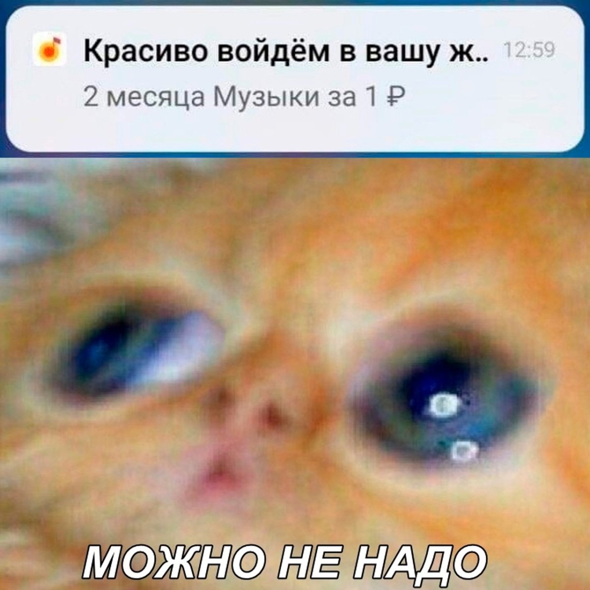 Можно не надо