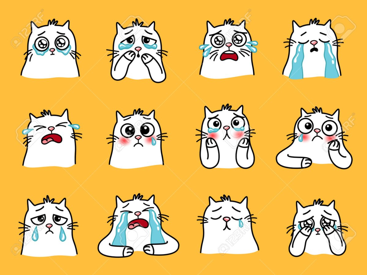 Sadness Cat Emoji