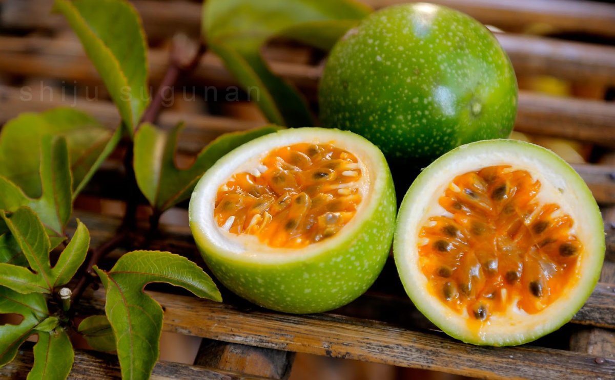 Маракуйя зеленая