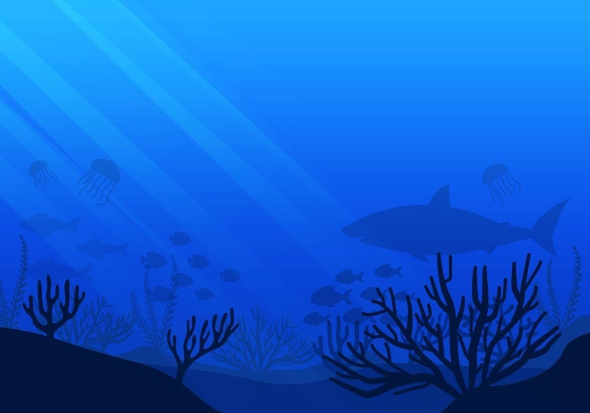 Дно моря мультяшное