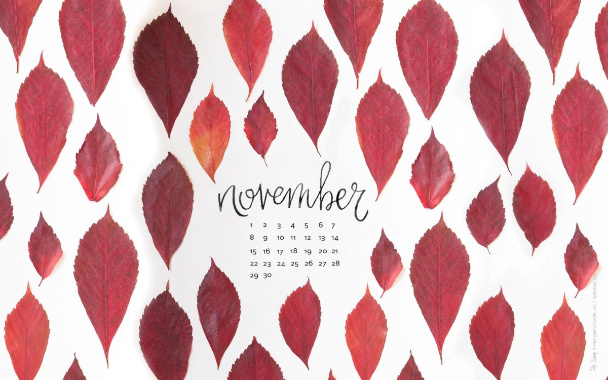 November обои