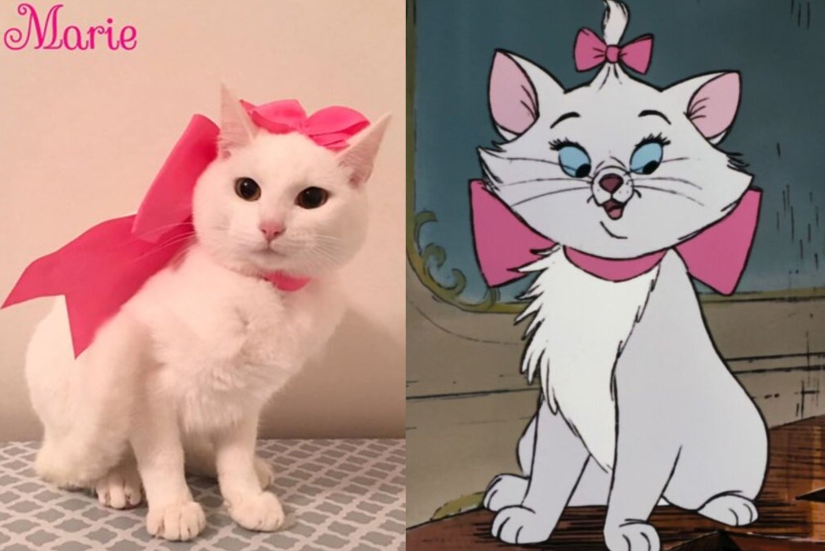 Коты Аристократы Мари