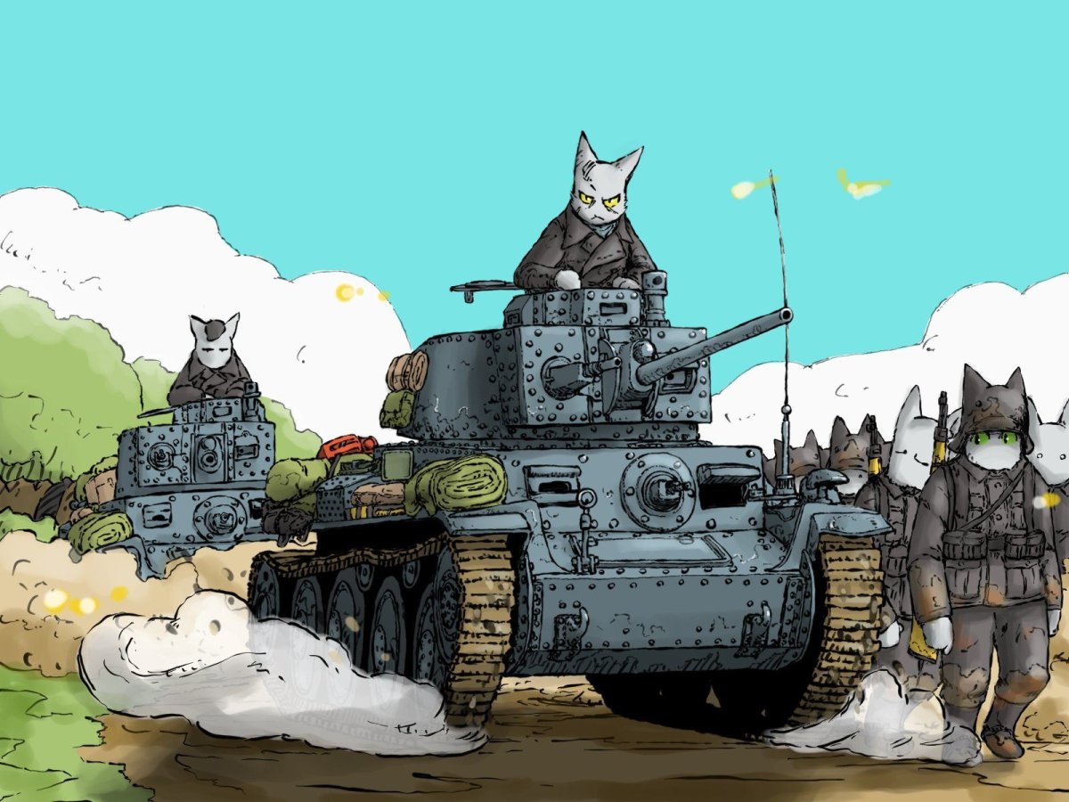 Боевой кот