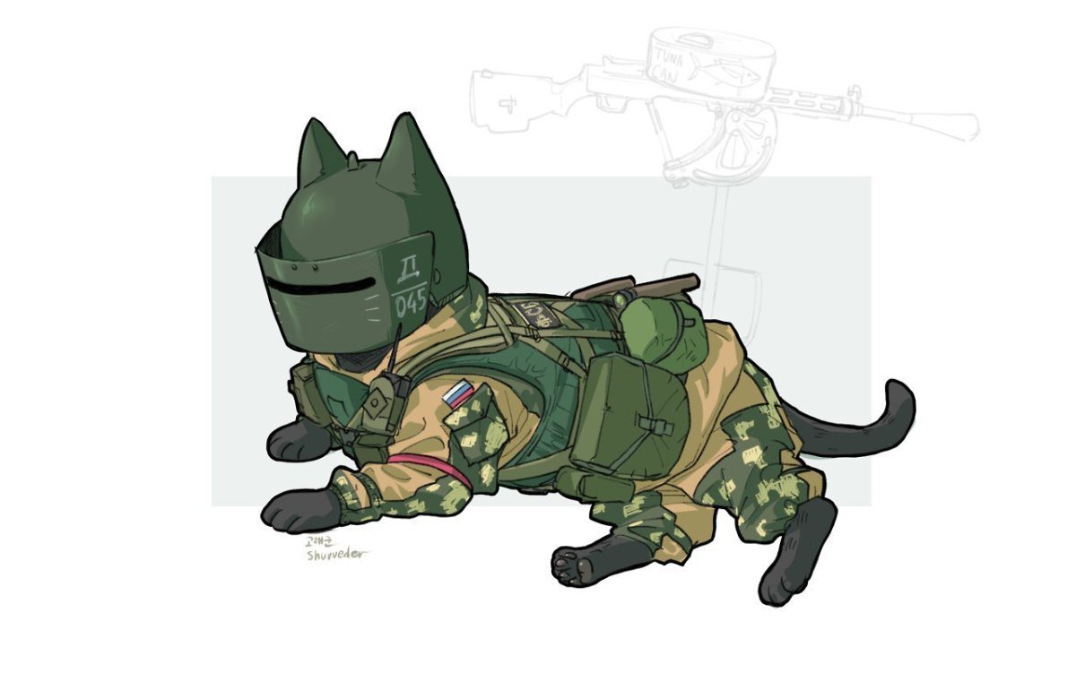 Котики из Rainbow Six Siege