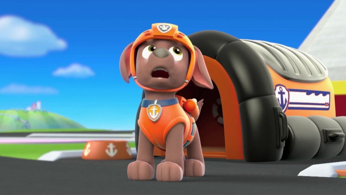 Paw Patrol Зума