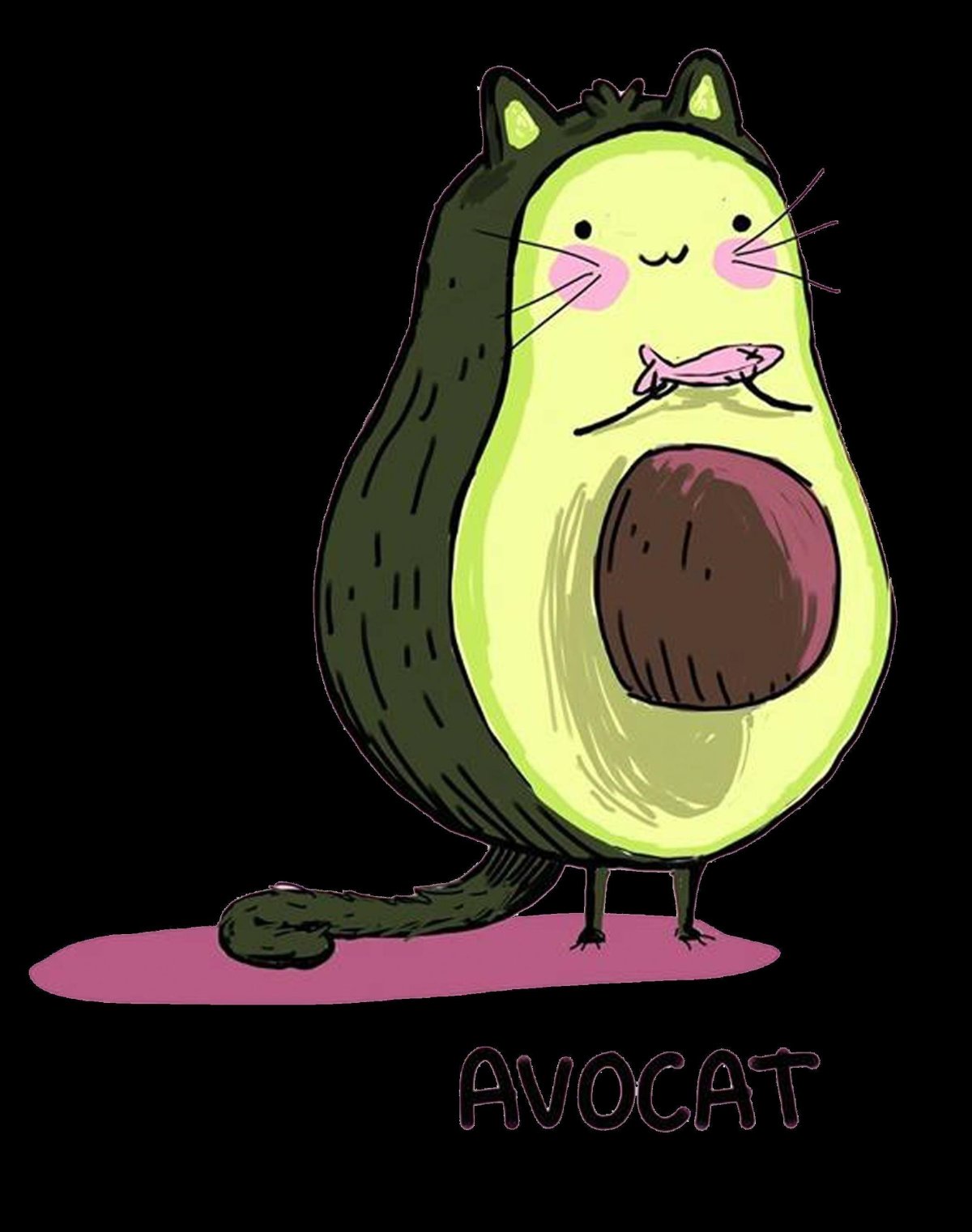 Авокадо кот