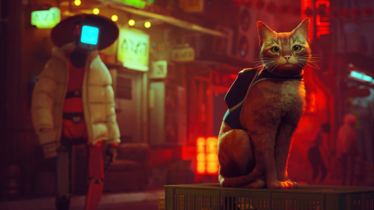 СТРЕЙ игра про кота
