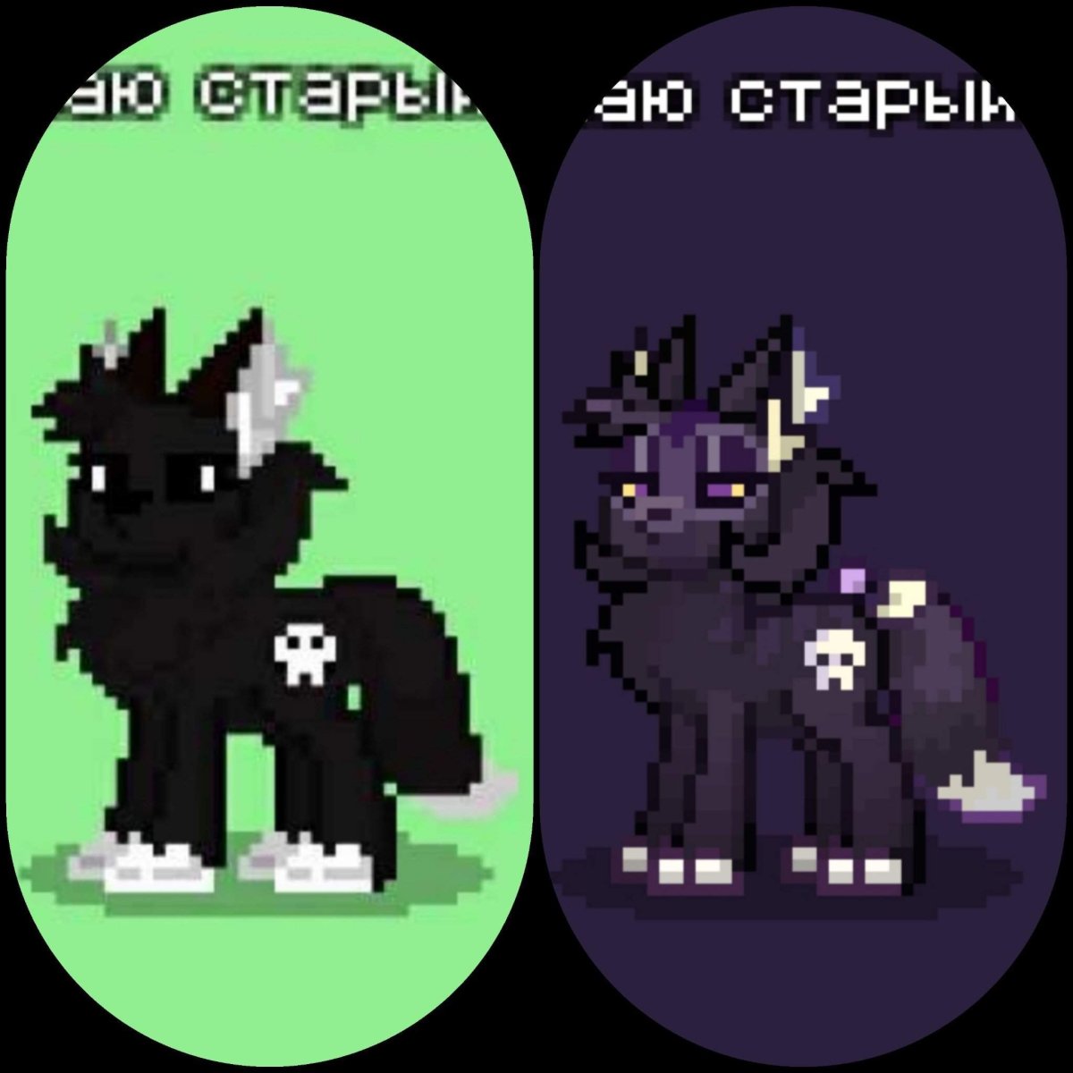 Волк пони Таун