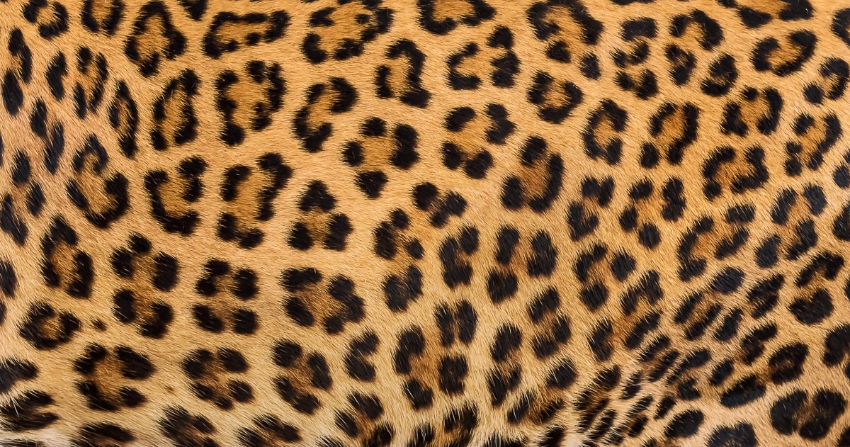 Меха