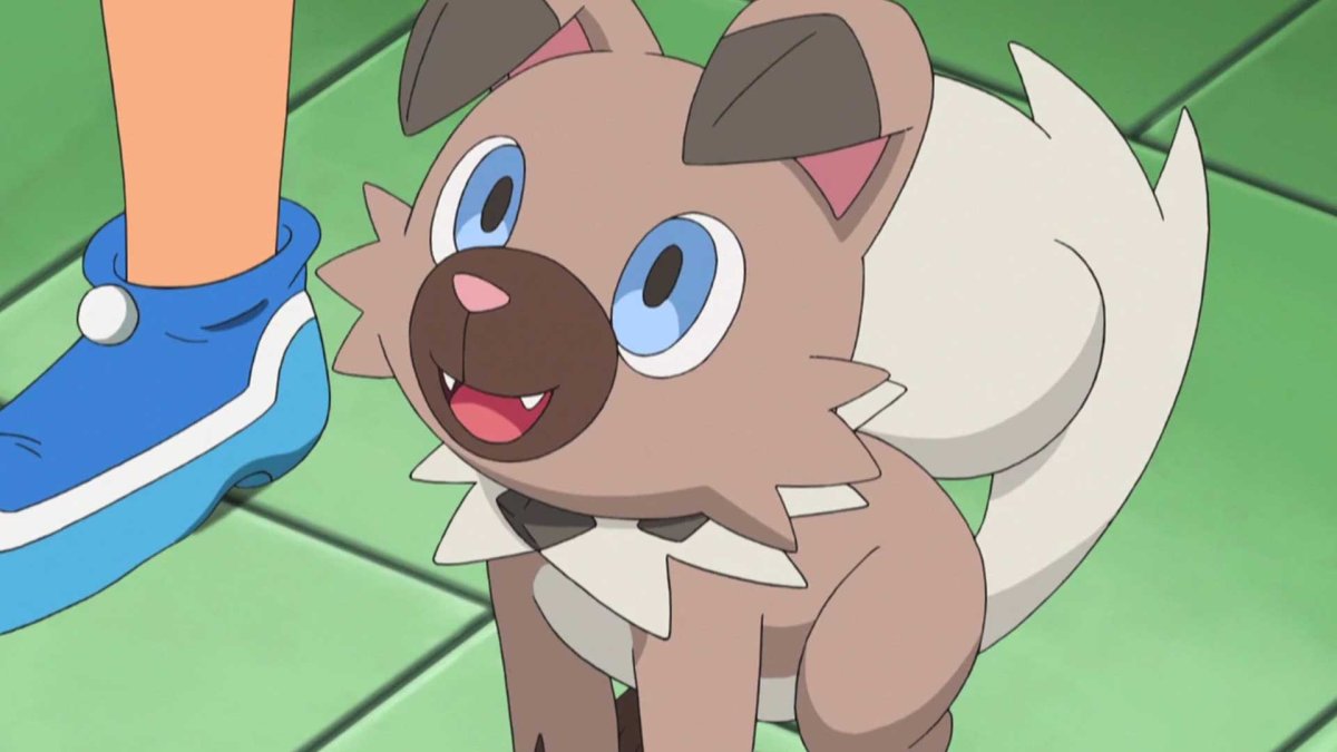 Rockruff покемон