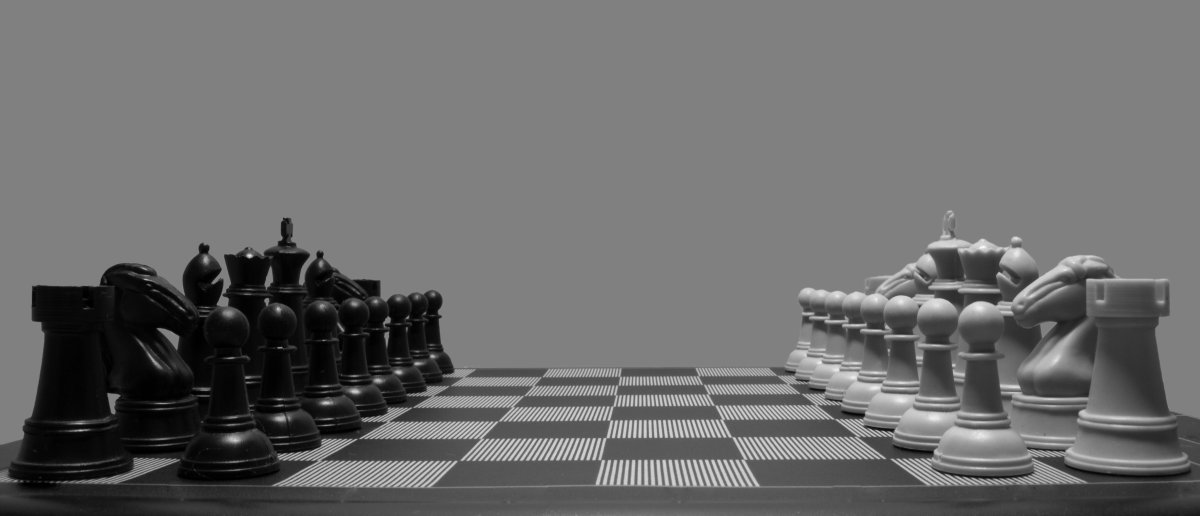 Шахматы черно белые