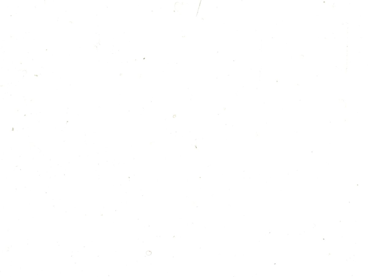 Белый цвет фон