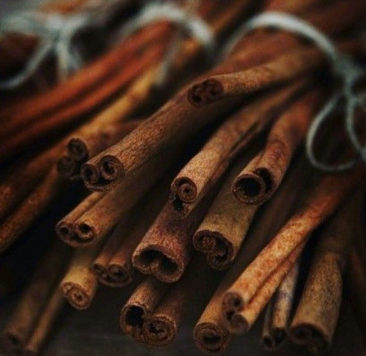 Корица Эстетика