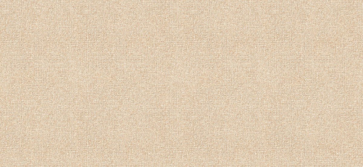 235068021 Плитка облиц. Nobilis беж. 50*23