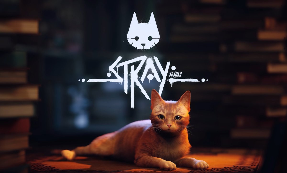 Stray приюты