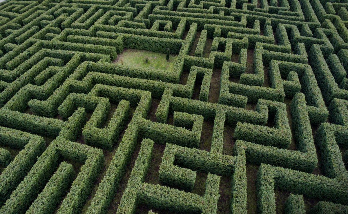 Лабиринт Davis' Mega Maze
