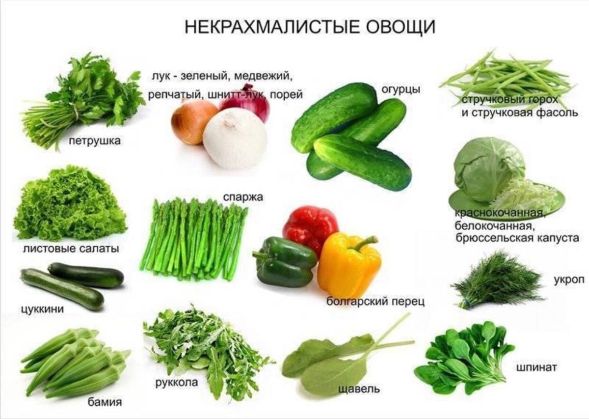 Список некрахмалистых овощей