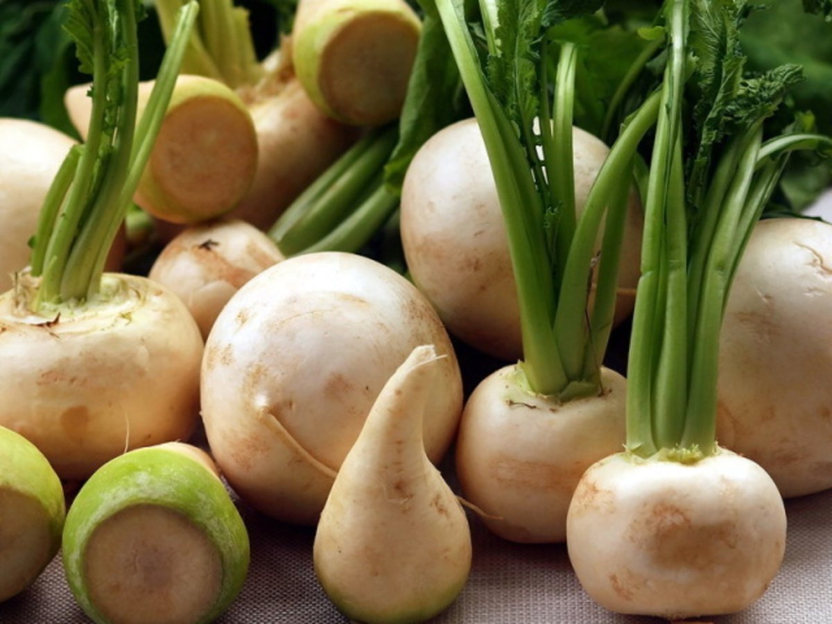 Турнепс (Brassica Rapa)
