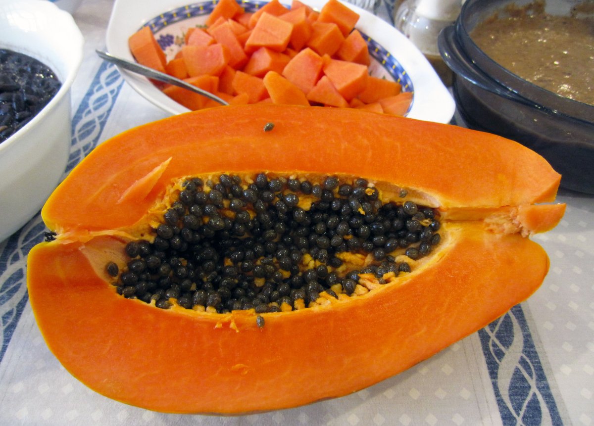 Дикая папайя