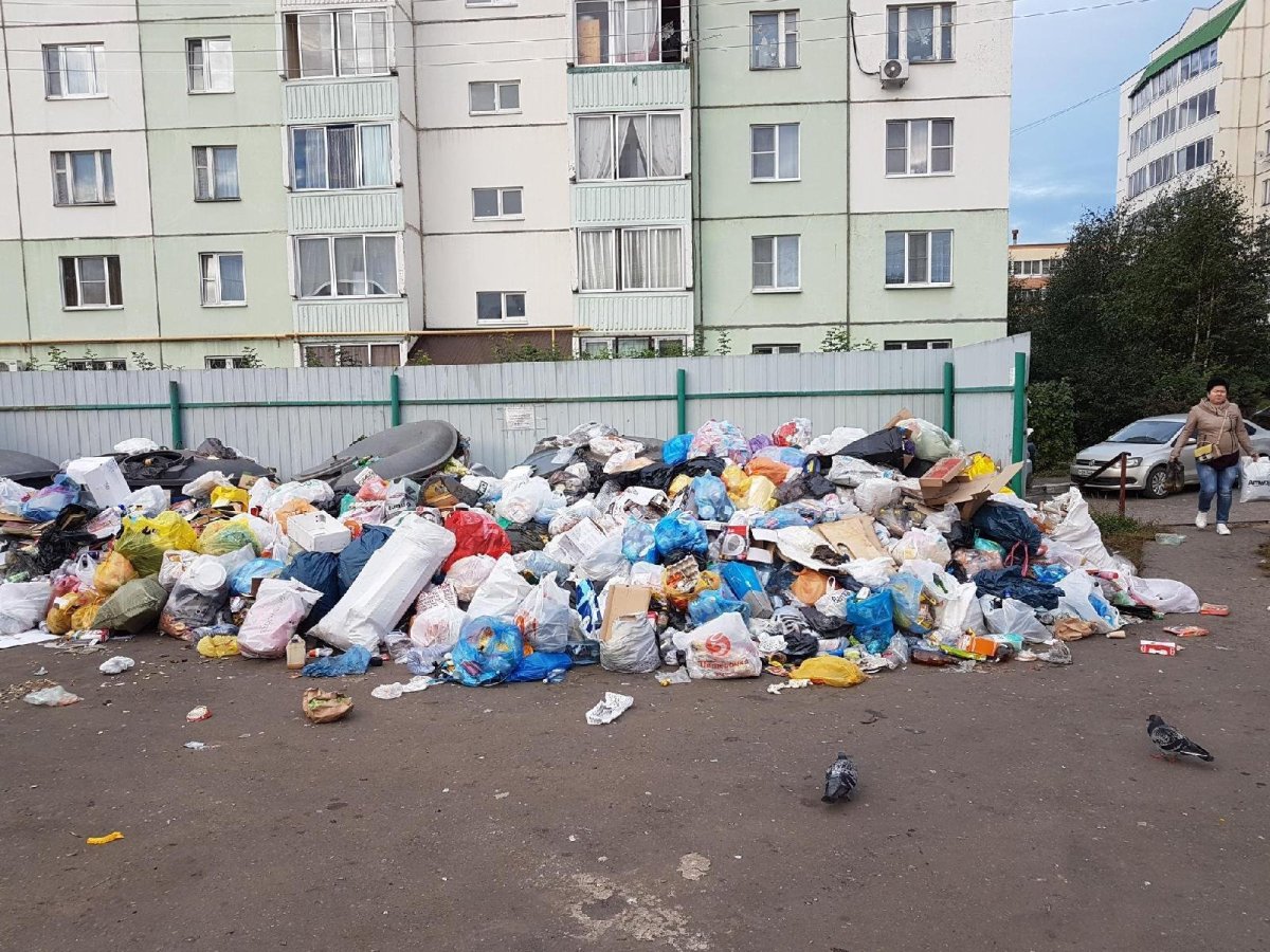 Помойка фон