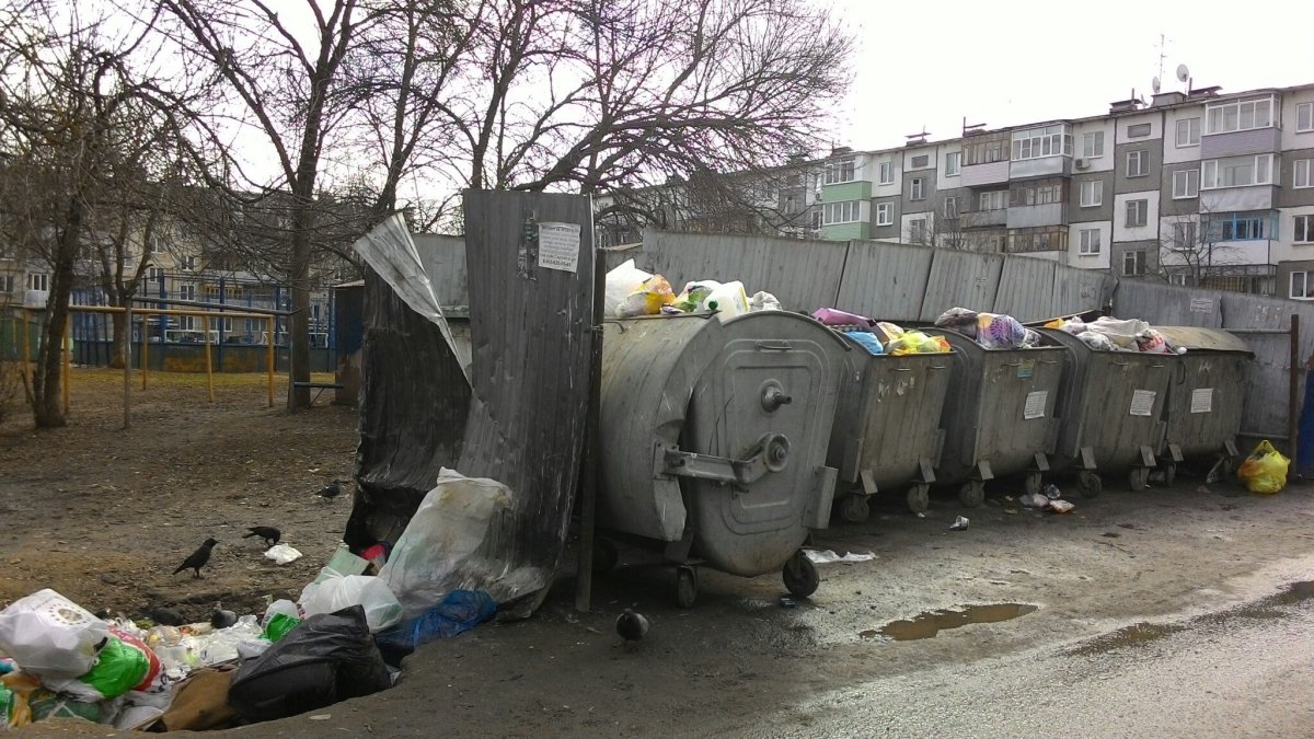 Фото мусорки