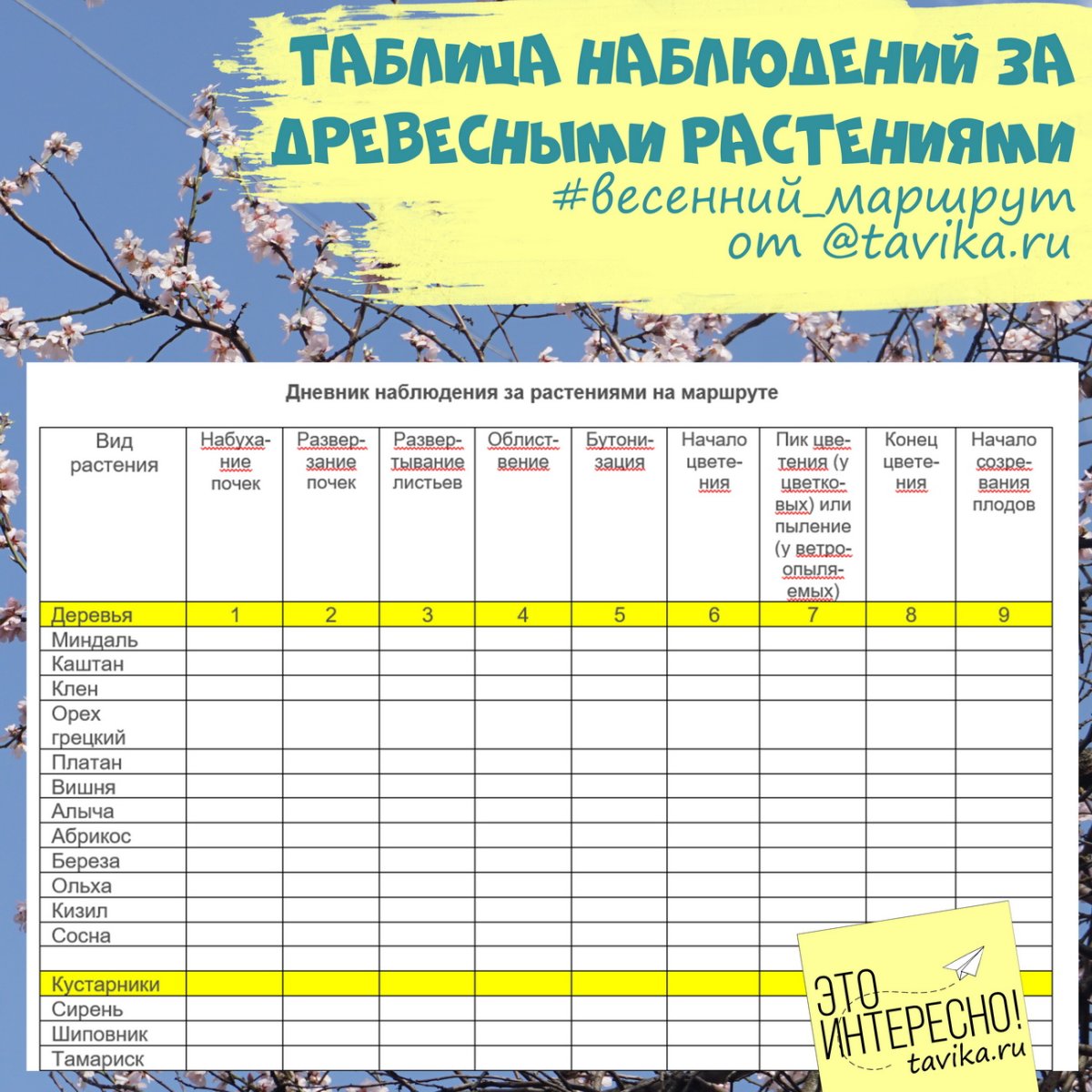 Дневник наблюдений за природой
