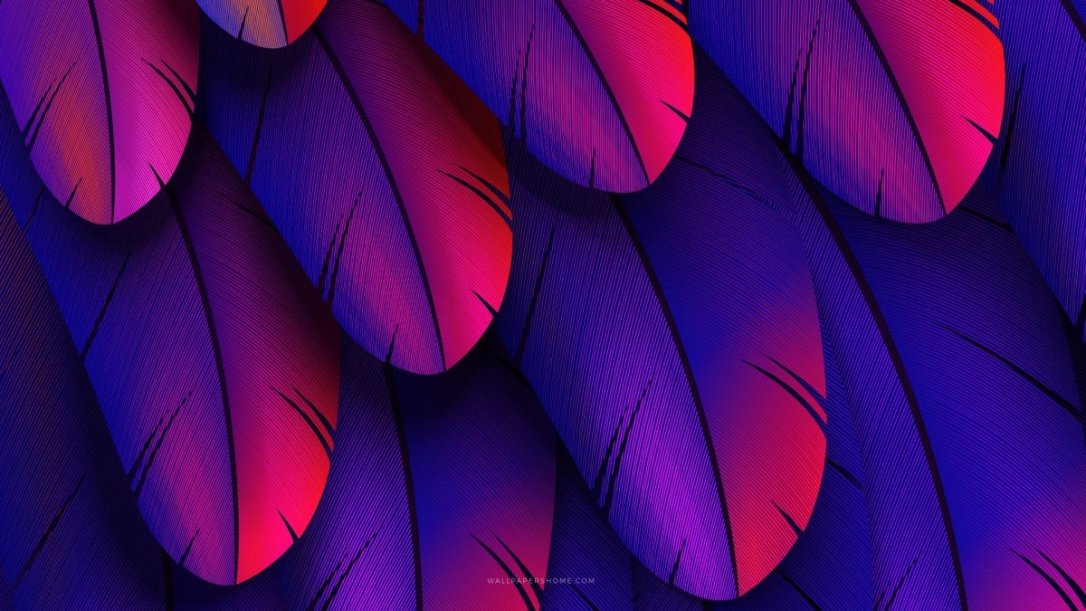 Обои с перьями