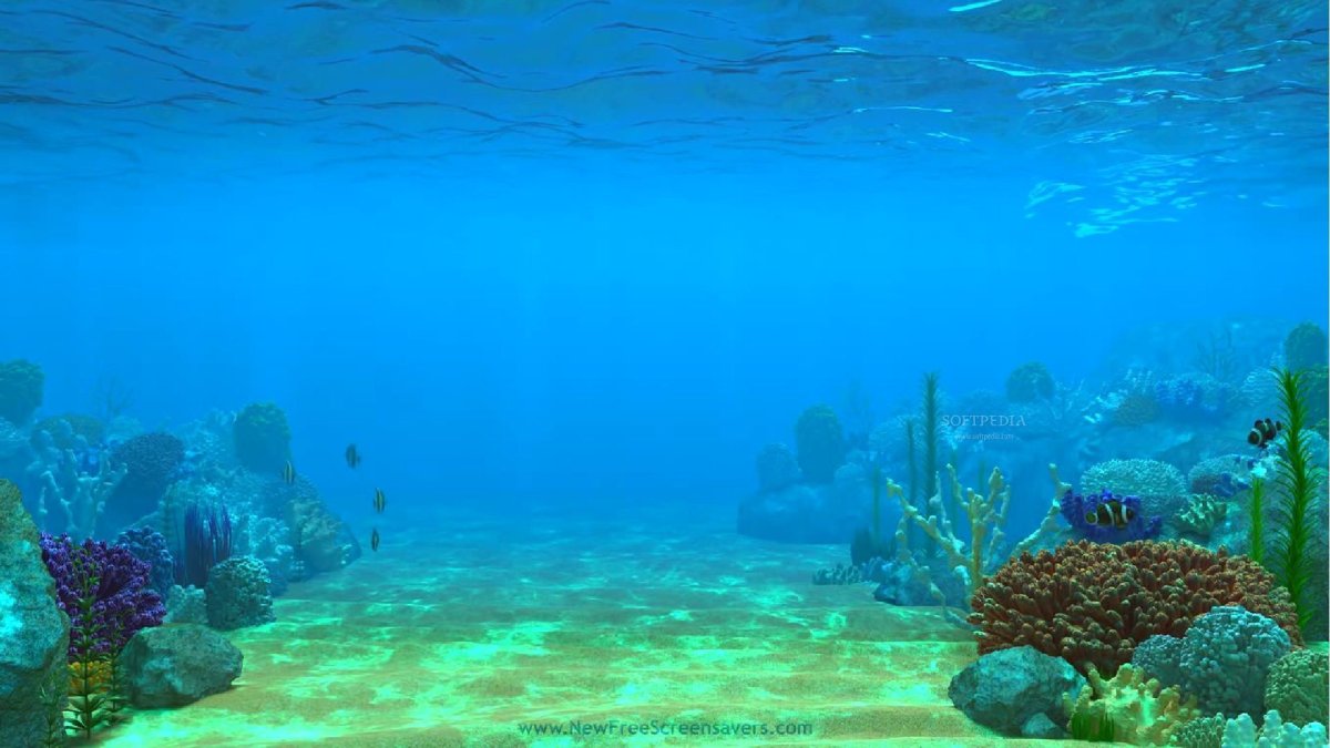 Море под водой