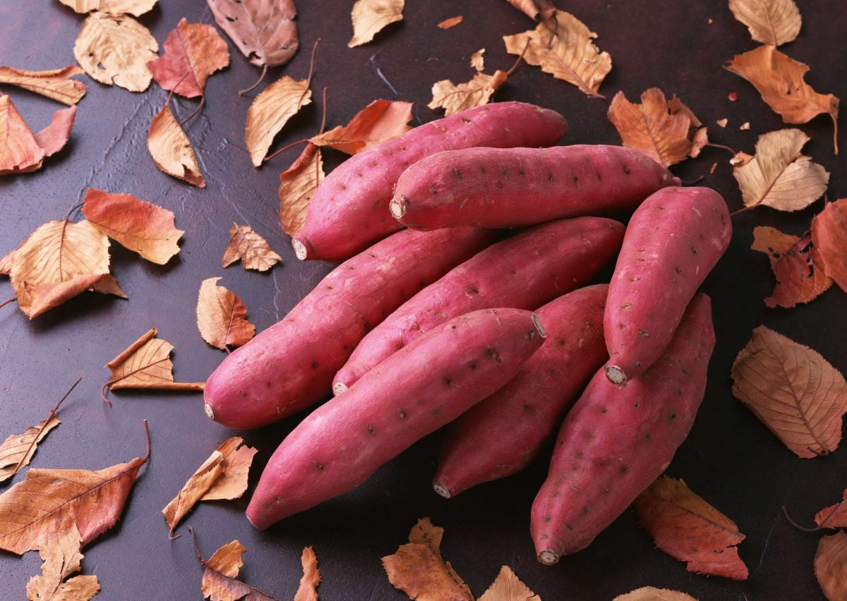 Китайская картошка батат
