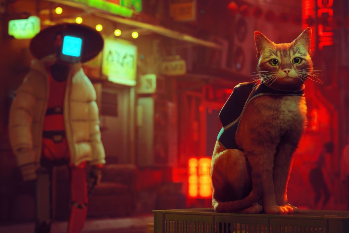 СТРЕЙ игра про кота