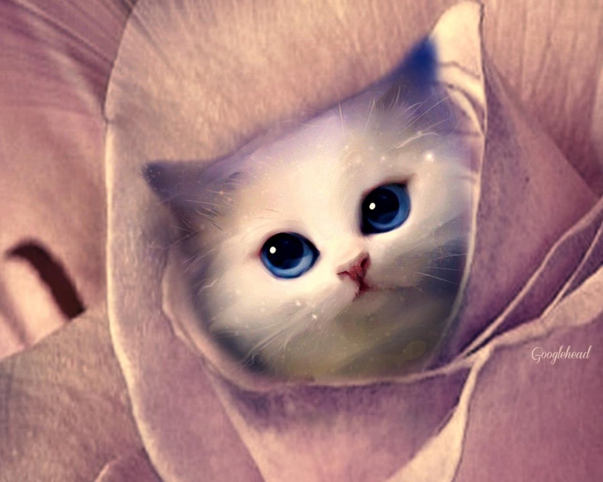 Красивые котята мяу