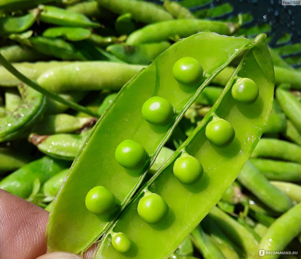 Продукты горох