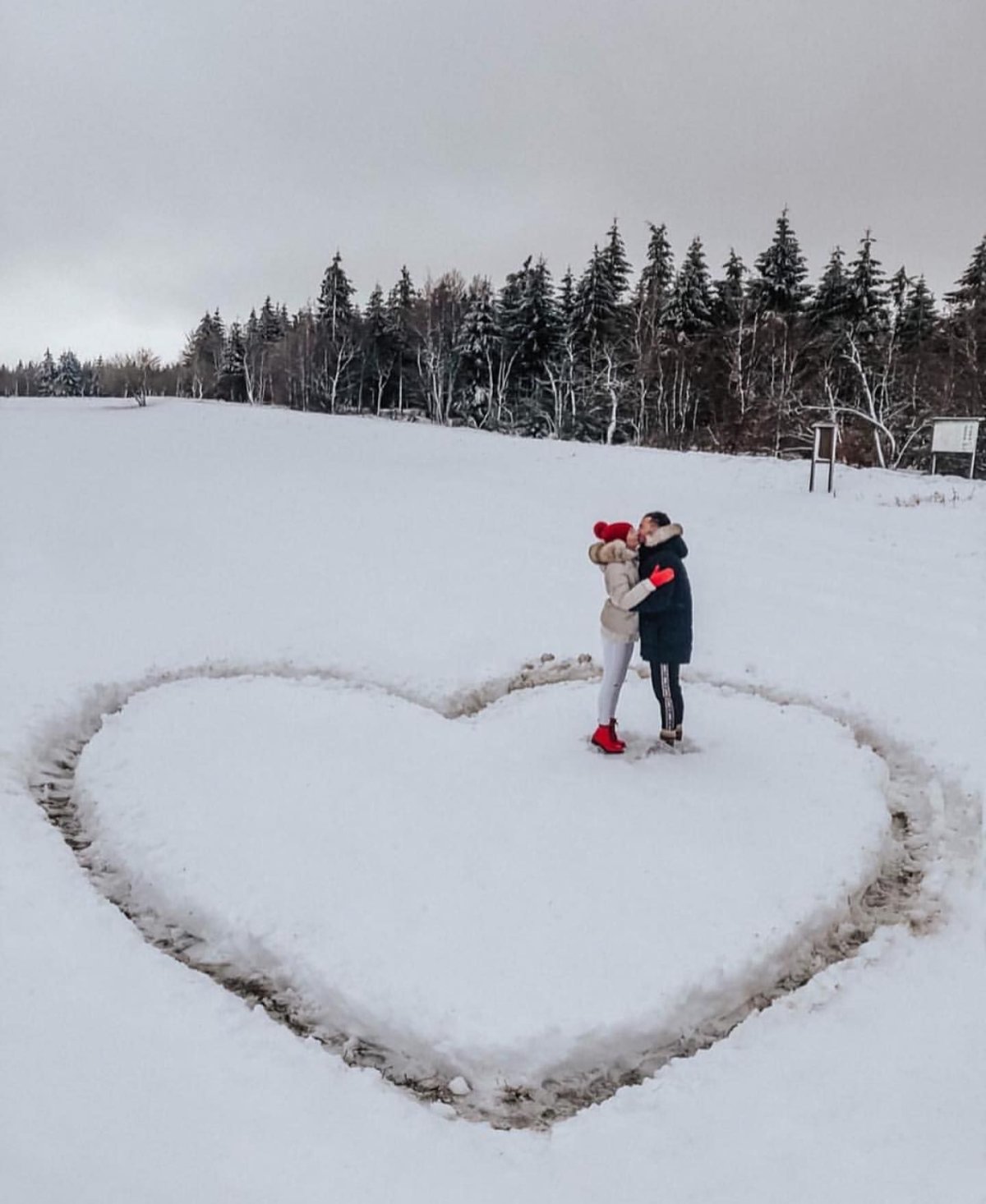 Сердце на снегу