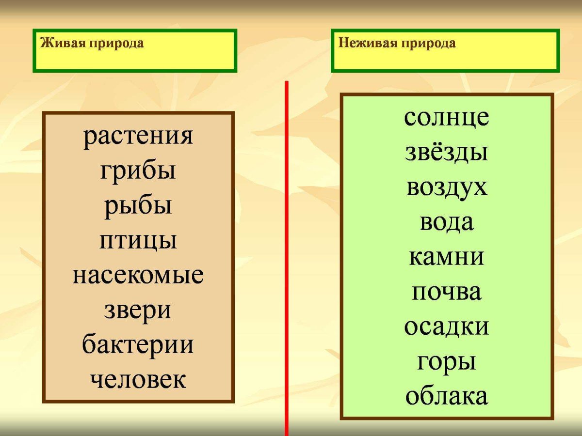Живая и неживая природа