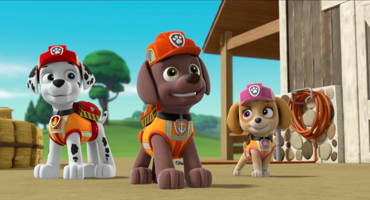 Paw Patrol 2013