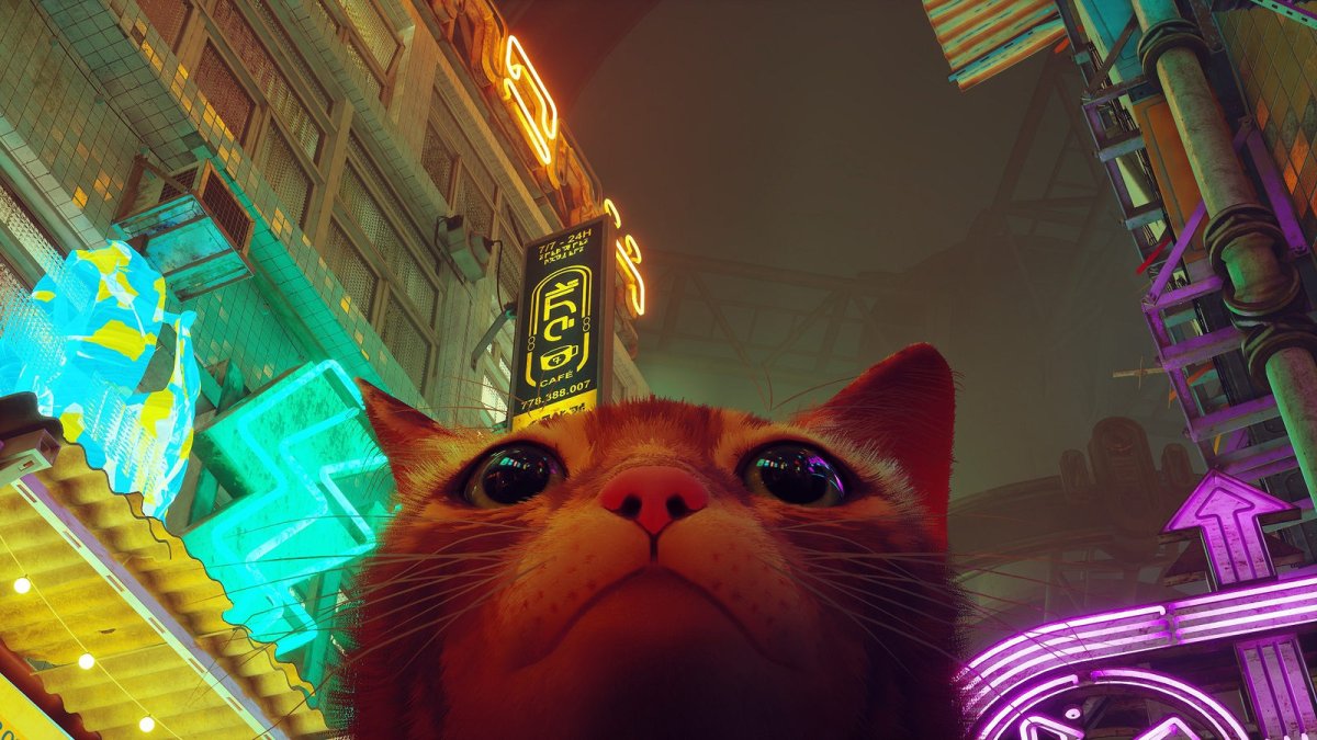 Игра про кота 2022 Stray