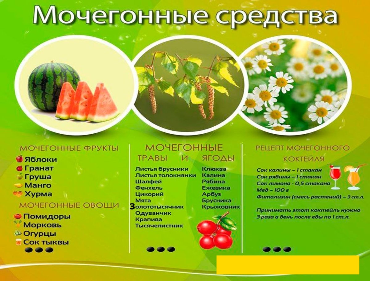 Мочегонные травы