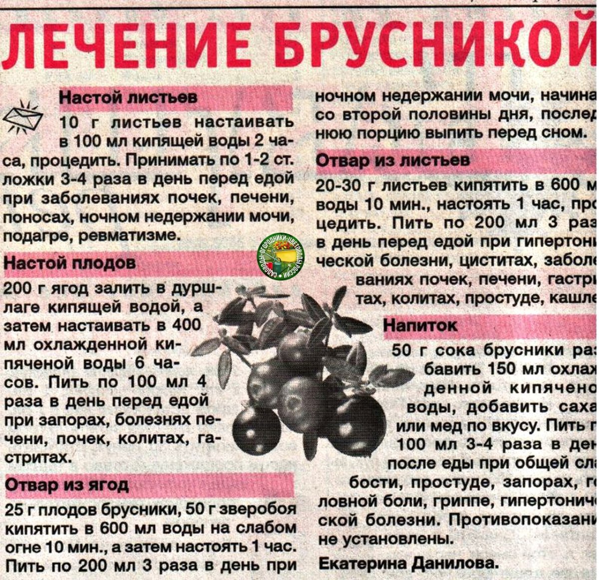 Отвар брусники