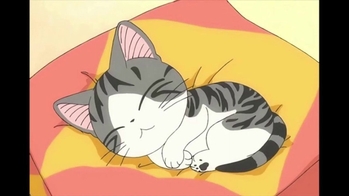 Аниме кот