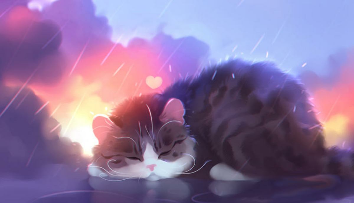 Спящий кот арт