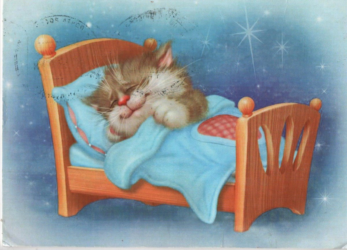 Доброй ночи с котятами